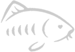 Old Castle Lake Logo
