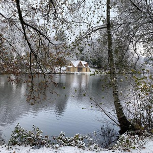 Untitled image