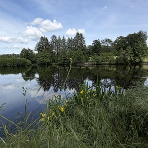 Untitled image