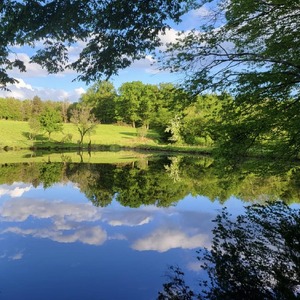 Untitled image
