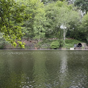 Untitled image