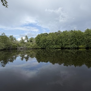 Untitled image