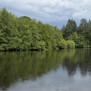 Untitled image
