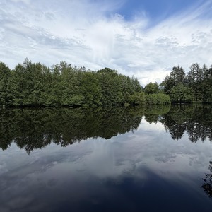 Untitled image