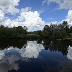 Untitled image