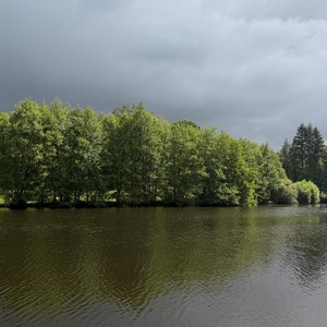 Untitled image