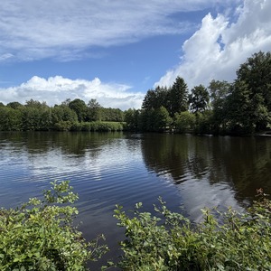 Untitled image